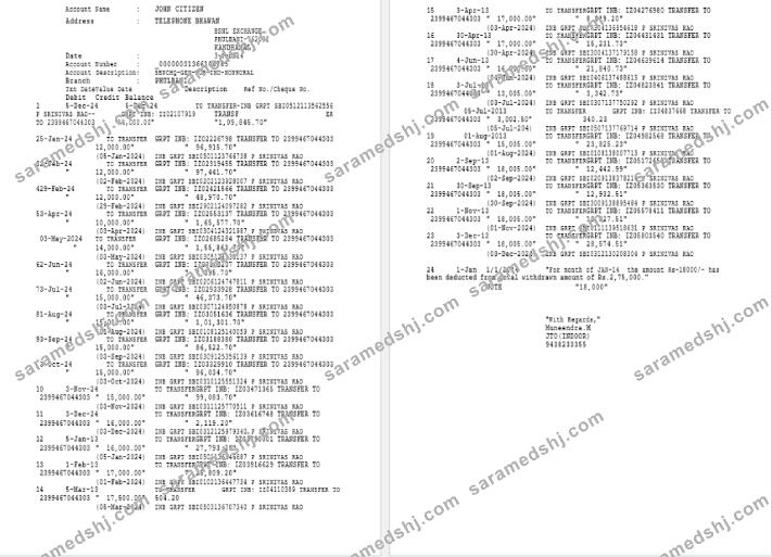 India Phulbani Bank of India statement Word and PDF example, 2 pages